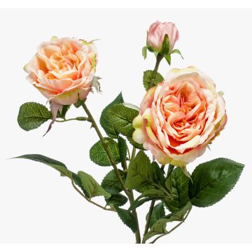 Konstgjord rosgren CALISTA, krämrosa, 60cm, Ø9cm Konstgjord rosgren CALISTA, krämrosa, 60cm, Ø9cm