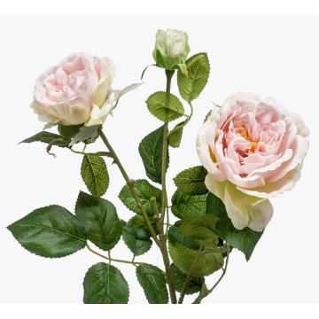 Konstblomma rosgren CALISTA, rosa, 60cm, Ø9cm Konstblomma rosgren CALISTA, rosa, 60cm, Ø9cm
