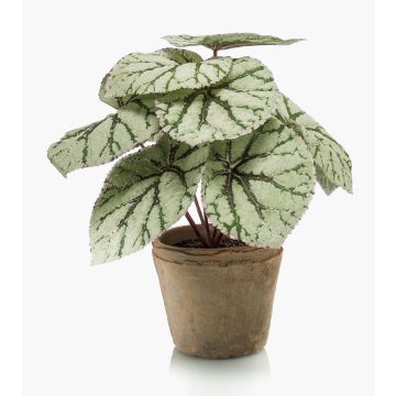 Konstväxt bladbegonia MEIRA i terrakottakruka, grågrön, 25cm Konstväxt bladbegonia MEIRA i terrakottakruka, grågrön, 25cm
