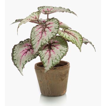 Konstväxt bladbegonia MEIRA i terrakottakruka, grön-rosa, 25cm Konstväxt bladbegonia MEIRA i terrakottakruka, grön-rosa, 25cm