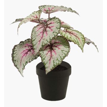 Konstväxt bladbegonia MEIRA, grön-rosa, 25cm Konstväxt bladbegonia MEIRA, grön-rosa, 25cm