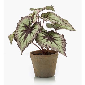 Konstväxt bladbegonia MEIRA i terrakottakruka, grön-violett, 25cm Konstväxt bladbegonia MEIRA i terrakottakruka, grön-violett, 25cm