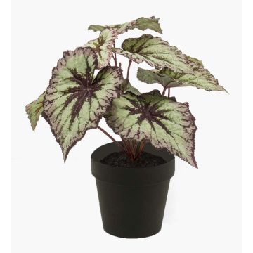 Konstväxt bladbegonia MEIRA, grön-violett, 25cm Konstväxt bladbegonia MEIRA, grön-violett, 25cm