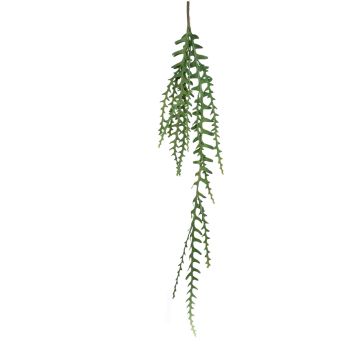 Konstväxt, suckulent, korallkaktus, hängande TULLIO på stödpinne, grön, 125cm Konstväxt, suckulent, korallkaktus, hängande TULLIO på stödpinne, grön, 125cm