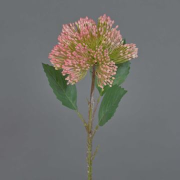 Plastblomma Sedum telephium blomma JICAMA, rosa-grön, 45cm, Ø12cm