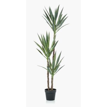 Konstgjord Yucca-palm elephantipes FRONTEIRA, 150cm