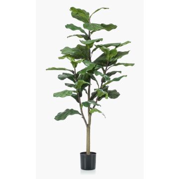 Konstgjord Ficus Lyrata EUSEBI, konststam, grön, 120cm