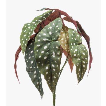 Konstväxt: Forellbegonia ELISEIA på stödpinne, grön-vit, 30cm Konstväxt: Forellbegonia ELISEIA på stödpinne, grön-vit, 30cm