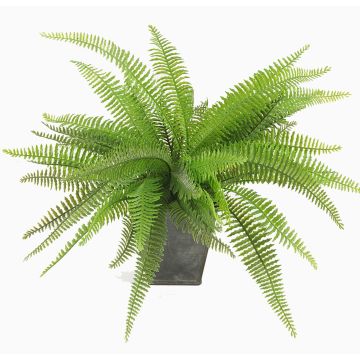 Konstgjord ormbunke Boston REMY i dekorativ kruka, grön, 30cm