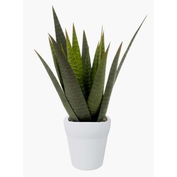 Konstgjord suckulent, Aloe Variegata MARTINEZ, keramikkruka, grön, 30cm, Ø17cm