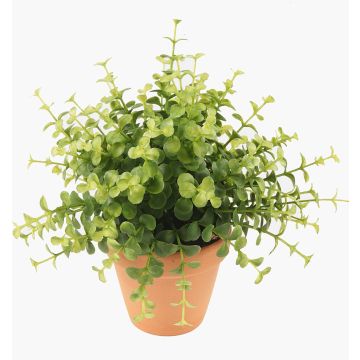 Konstgjord ört: eukalyptus JOSHUA i lerkruka, grön, 20cm, Ø17cm