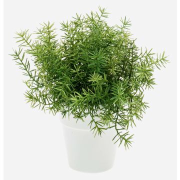 Konstgjord ört Asparagus sprengeri JOSHUA i keramikkruka, 20cm, Ø17cm