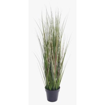 Konstgjord växt, gräs, rävsvansgräs SAMMI, grönt, 65cm