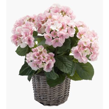 Konstväxt hortensia JONE i korg, rosa, 45cm, Ø12cm