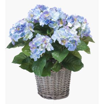 Konstväxt hortensia JONE i korg, blå, 45cm, Ø12cm