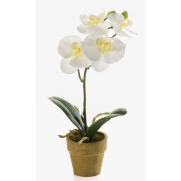 Konstgjord Phalaenopsis-orkidé SETH i dekorativ kruka, krämfärgad, 25cm Konstgjord Phalaenopsis-orkidé SETH i dekorativ kruka, krämfärgad, 25cm