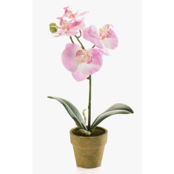 Konstgjord Phalaenopsis-orkidé SETH i dekorativ kruka, rosa, 25cm