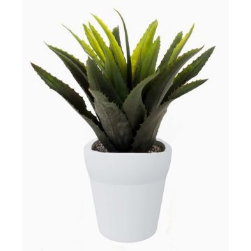 Konstväxt Agave decipiens SEDA i keramikkruka, grön, 25cm, Ø25cm