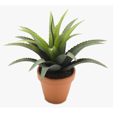 Konstväxt Agave decipiens SEDA i lerkruka, grön, 25cm, Ø25cm