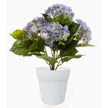 Konstblomma hortensia LAIDA i keramikkruka, ljusblå, 35cm, Ø9-13cm Konstblomma hortensia LAIDA i keramikkruka, ljusblå, 35cm, Ø9-13cm