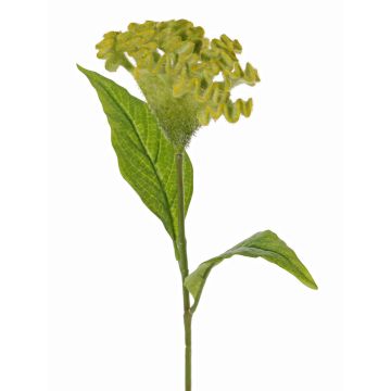 Konstgjord blomma tuppkam ANUBIS, grön-gul, 60cm, Ø14cm