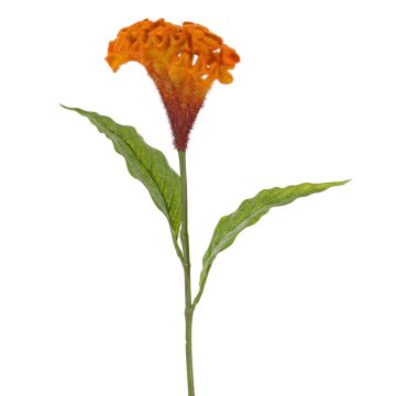 Konstgjord blomma Hahnenkamm ANUBIS, orange, 60cm, Ø14cm