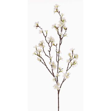 Konstgjord körsbärsblomkvist ARIELLE med blommor, vit, 100cm, Ø1,5-3,5cm Konstgjord körsbärsblomkvist ARIELLE med blommor, vit, 100cm, Ø1,5-3,5cm