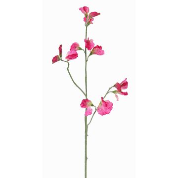 Konstgjord blomkvist Lathyrus ASFALOTH, cerise, 65cm, Ø3-5cm Konstgjord blomkvist Lathyrus ASFALOTH, cerise, 65cm, Ø3-5cm