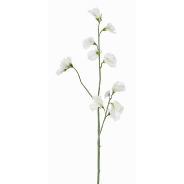 Konstgjord blomkvist Lathyrus ASFALOTH, vit, 65cm, Ø3-5cm