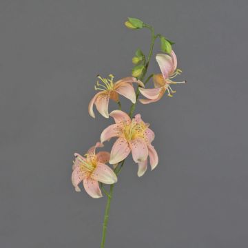 Konstgjord tigerlilja ASHANTI, rosa-persik, 60cm, Ø10cm Konstgjord tigerlilja ASHANTI, rosa-persik, 60cm, Ø10cm