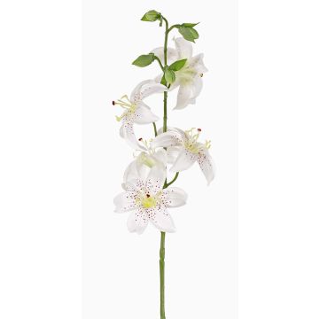 Konstgjord tigerlilja ASHANTI, vit, 60cm, Ø10cm Konstgjord tigerlilja ASHANTI, vit, 60cm, Ø10cm