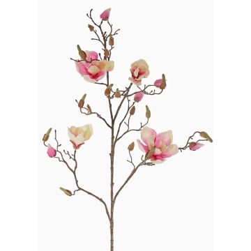 Konstgjord magnolia LORA, krämrosa, 110cm, Ø10-12cm Konstgjord magnolia LORA, krämrosa, 110cm, Ø10-12cm