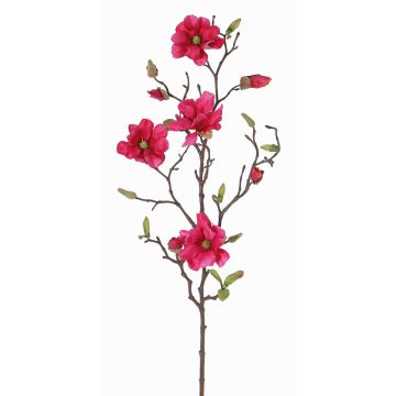 Konstgjord magnoliagren MARGA, cerise, 80cm, Ø7-8cm Konstgjord magnoliagren MARGA, cerise, 80cm, Ø7-8cm