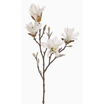 Konstgjord stjärnmagnoliagren AZULA, vit, 60cm, Ø9-11cm Konstgjord stjärnmagnoliagren AZULA, vit, 60cm, Ø9-11cm
