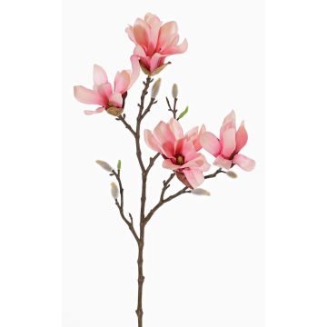Konstgjord stjärnmagnoliagren AZULA, rosa, 60cm, Ø9-11cm Konstgjord stjärnmagnoliagren AZULA, rosa, 60cm, Ø9-11cm
