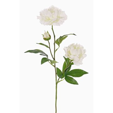 Konstgjord blomkvist, pion ONYX, krämvit, 75cm, Ø10-13cm