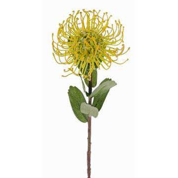 Konstgjord nålkudde Protea BAILY, gulgrön, 55cm, Ø10cm