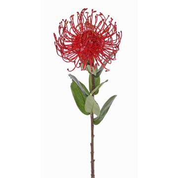Konstgjord nålkudde Protea BAILY, röd, 55cm, Ø10cm