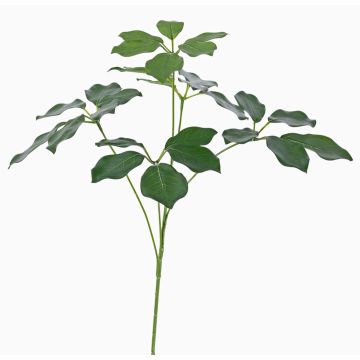 Konstgjord Schefflera-gren CAPONE, crossdoor, grön, 50cm Konstgjord Schefflera-gren CAPONE, crossdoor, grön, 50cm