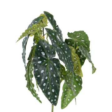 Konstgjord forellbegonia HANSE på stickpinne, grön-vit, 40cm Konstgjord forellbegonia HANSE på stickpinne, grön-vit, 40cm