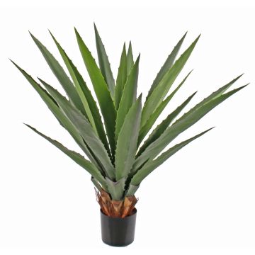 Konstgjord Agave furcraea gigantea KNOX, crossdoor, grön, 100cm Konstgjord Agave furcraea gigantea KNOX, crossdoor, grön, 100cm