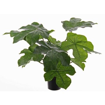 Konstgjord flaskväxt LONY, grön, 50cm
