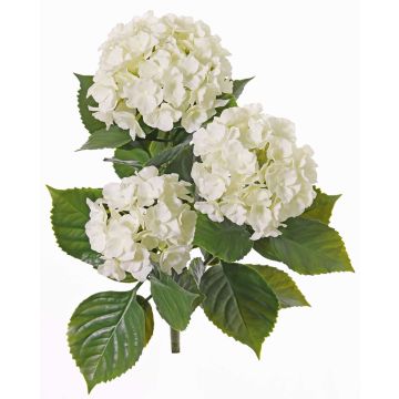 Konstgjord hortensia SAIRA, på pinne, crossdoor, krämfärgad, 40cm, Ø11-13cm Konstgjord hortensia SAIRA, på pinne, crossdoor, krämfärgad, 40cm, Ø11-13cm