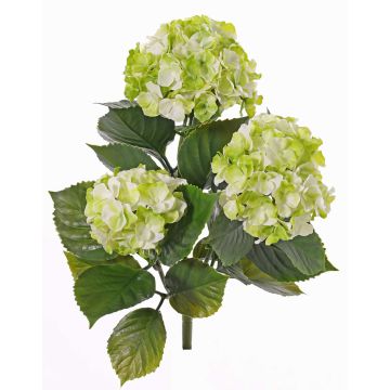 Konstgjord hortensia SAIRA, på stativ, crossdoor, grön-krämfärgad, 40cm, Ø11-13cm Konstgjord hortensia SAIRA, på stativ, crossdoor, grön-krämfärgad, 40cm, Ø11-13cm