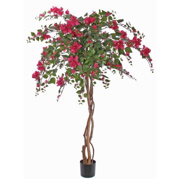 Konstgjord bougainvillea OFRA, äkta stammar, blommor, crossdoor, cerise, 180cm