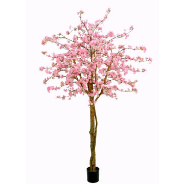 Konstgjord japansk blomkörsbärsträd TIFFY, äkta stammar, blommor, rosa, 240cm