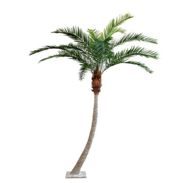 Konstgjord fenixpalm HARPER, crossdoor, 340cm Konstgjord fenixpalm HARPER, crossdoor, 340cm