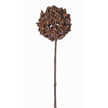Konstgjord stjärnanisgren CATBERT, brun, 70cm, Ø10cm