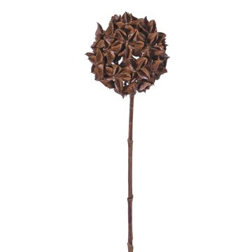 Konstgjord stjärnanisgren CATBERT, brun, 70cm, Ø10cm Konstgjord stjärnanisgren CATBERT, brun, 70cm, Ø10cm