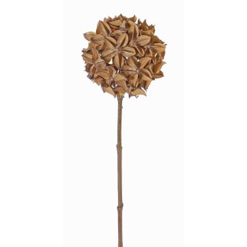 Konstgjord stjärnanisgren CATBERT, ljusbrun, 70cm, Ø10cm